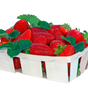 fraise-barquette-250g