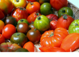 photo-tomate-ancienne-melange