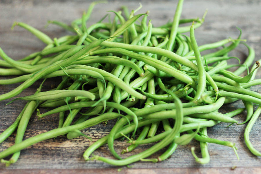 HARICOT vert BIO - Paniers bio et vente directe à la ferme