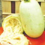 Courge-spaghetti-vegetal