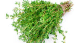 thym_frais BIO